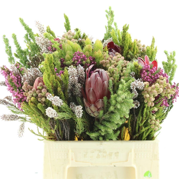 <h4>Kaaps Bouquet Cape Mix Small</h4>