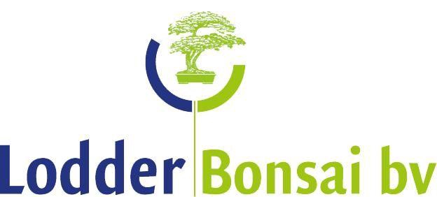 <h4>Bonsai mix outdoor, 20cm., broom, with drip tray - Partly without leaves during winter</h4>