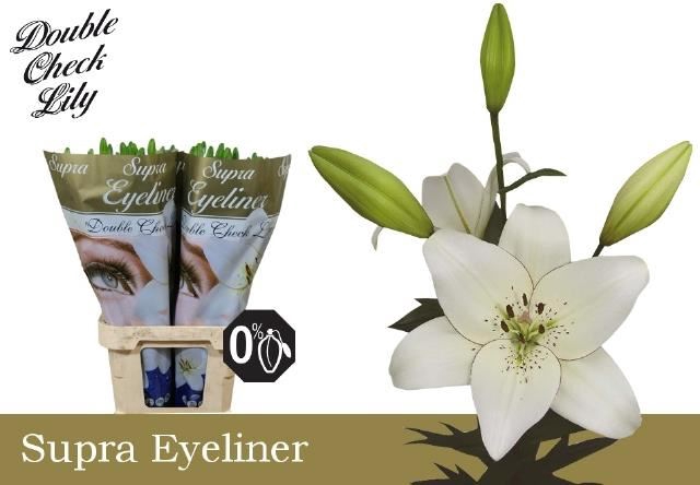 <h4>Li Az Eyeliner</h4>