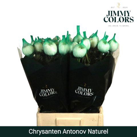 <h4>Chr G Antonov naturel Naturel</h4>