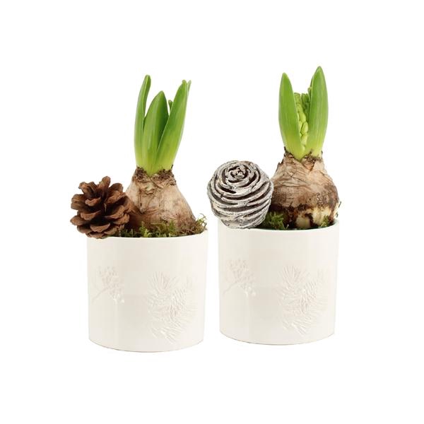 <h4>61685: X-mas arrangement</h4>