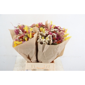 DF BOUQUET NEON MIX 50CM