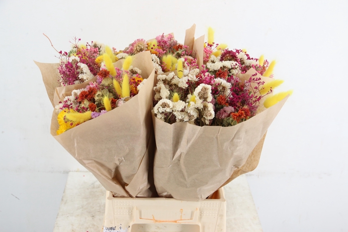 <h4>DF BOUQUET NEON MIX 50CM</h4>