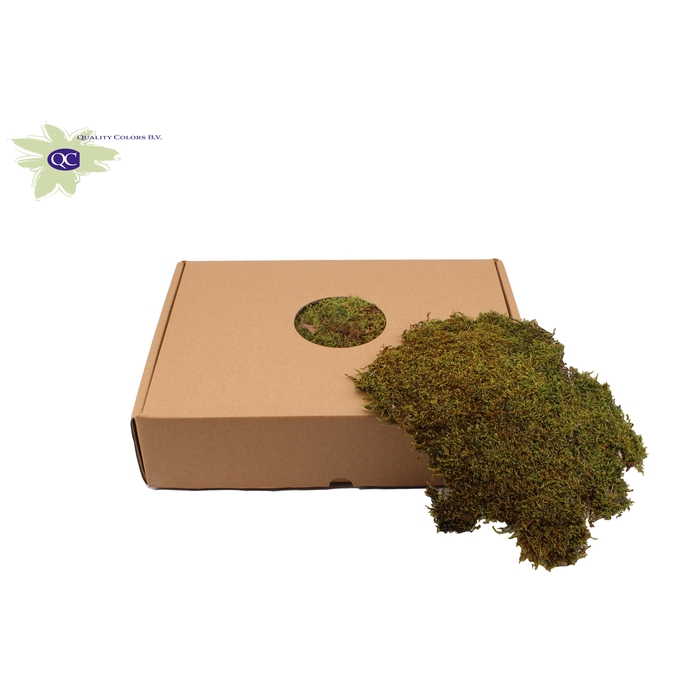 <h4>Flatmoss dry 2kg box</h4>