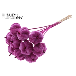Velvet Pumpkin Ø6cm on stem Lilac
