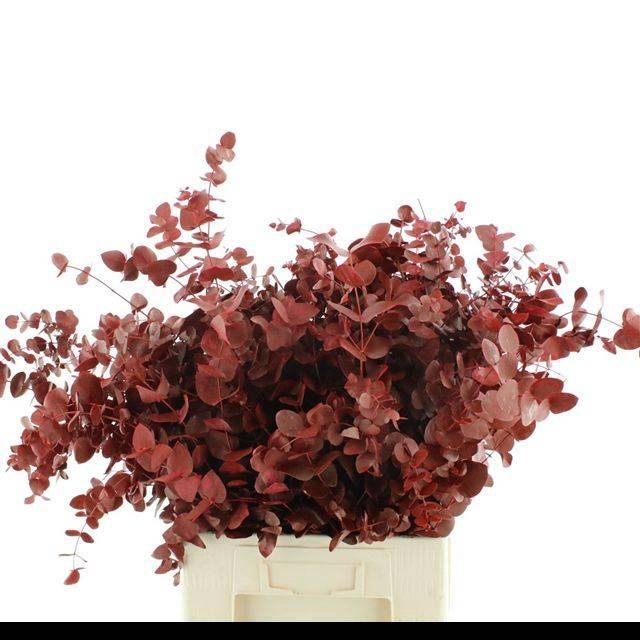 <h4>EUC CIN KLB P BOS H%</h4>