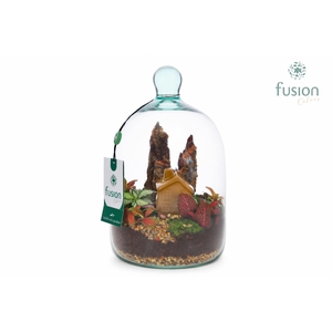 Green Bottle Novella Small met arrangement