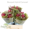 Bouquet Hybrid Carousel