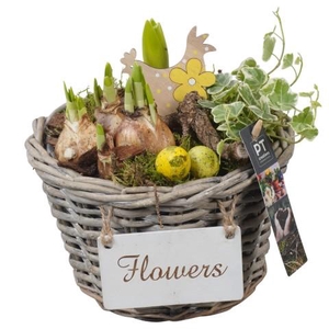 PTBMP5692 Arrangementen Tuinplanten