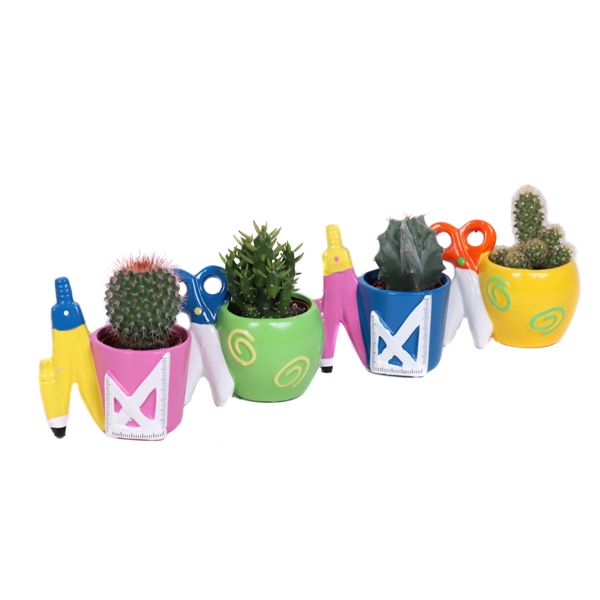 <h4>Cactus school mixplanter 5,5 cm</h4>