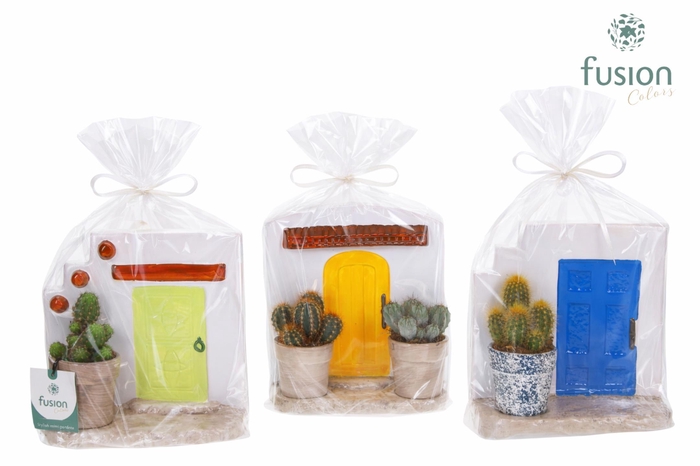 <h4>Terracotta Muurplanter met Cactus</h4>