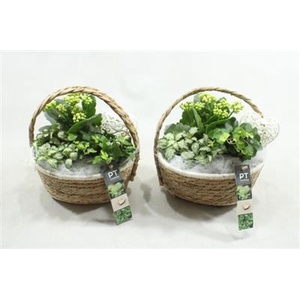 2339 Wit Hengselmandje