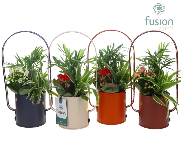 <h4>LED planter zink boog met arrangement</h4>