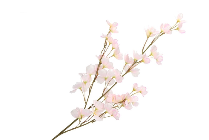 <h4>Silk Wolfberry Light Pink 106cm Nm</h4>