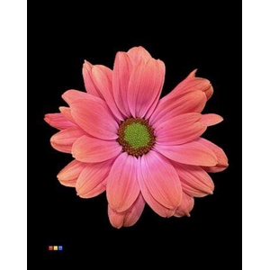 Chr T Kennedy Fireball