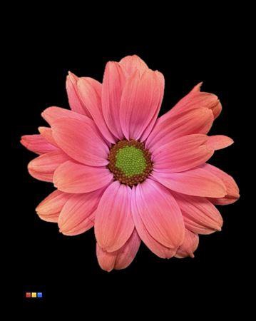 <h4>Chr T Kennedy Fireball</h4>