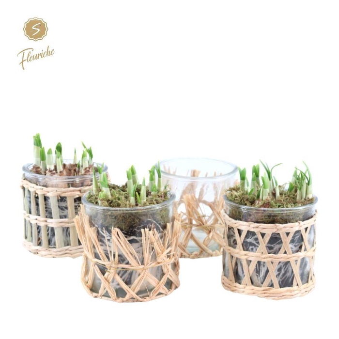 <h4>ARR N TETE A TETE H%</h4>