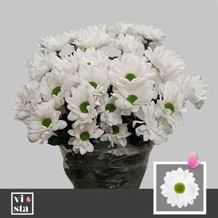 <h4>Chr T Mirana</h4>