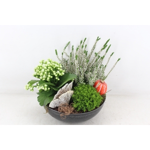 arr4 Outdoor VL - Kunststof black 3pl