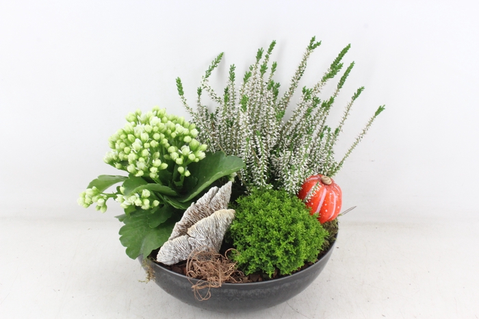<h4>arr4 Outdoor VL - Kunststof black 3pl</h4>