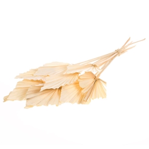 Palmspear 10pc Bleached White