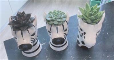 <h4>1811 Dieren Black/white</h4>