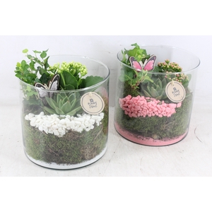 arr2 PL - Glas cilinder breed - roze/wit