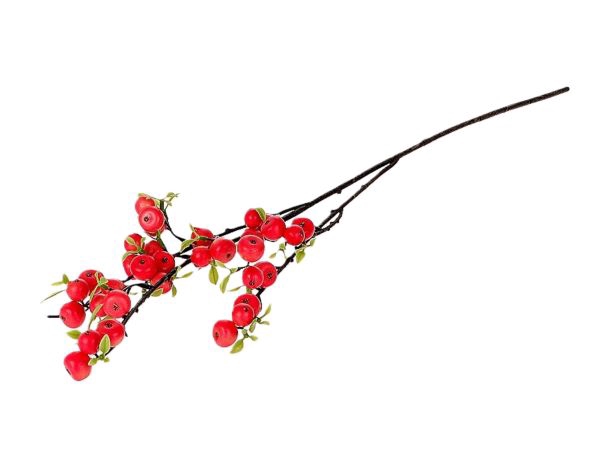 <h4>STEM APPLE BERRY L76 pink</h4>