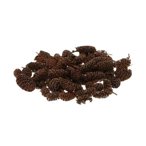 Pinecone Birch 30gr