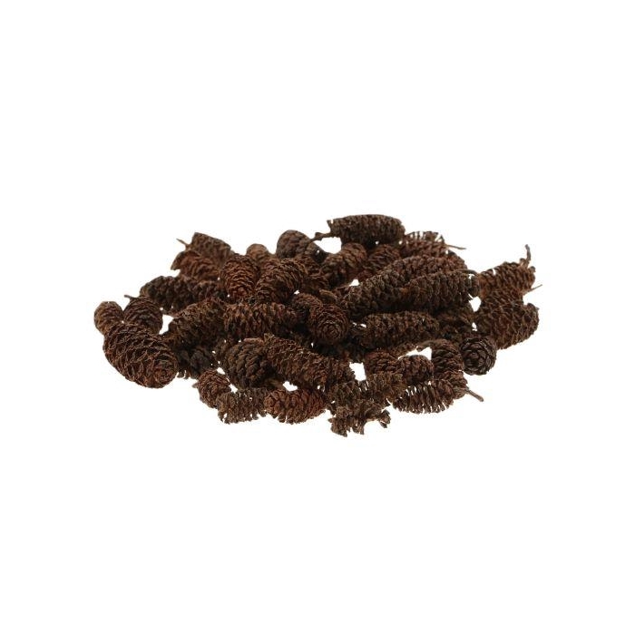 <h4>Pinecone Birch 30gr</h4>