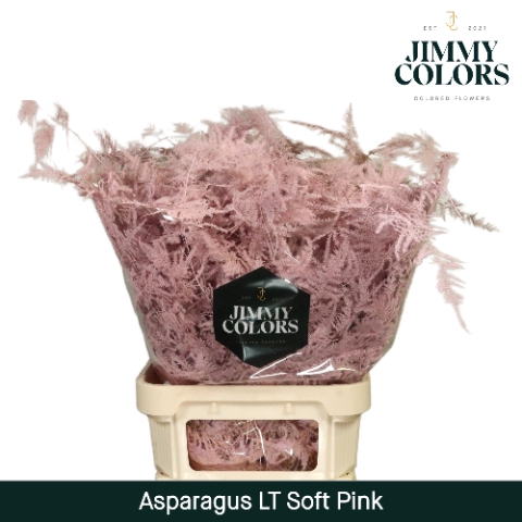 <h4>Asp lang getopt  Soft pink</h4>
