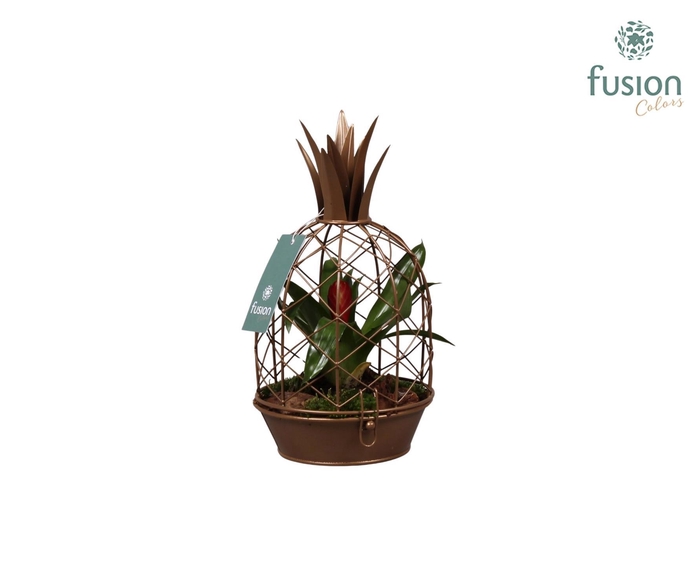 <h4>Metalen Ananas goud met Tillandsia</h4>