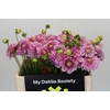Dahlia Pink Silk