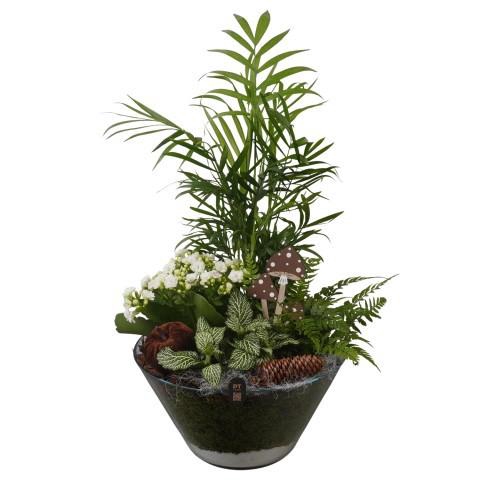 <h4>PTHG8278 Arrangement Autumn Glass in glas schaal</h4>