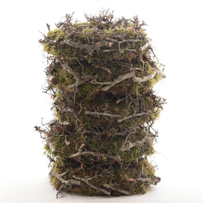 <h4>Krans Mos Bonsai</h4>
