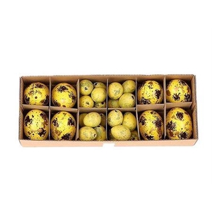 Egg Combi 8 Chicken 24 Quail L28w11h7