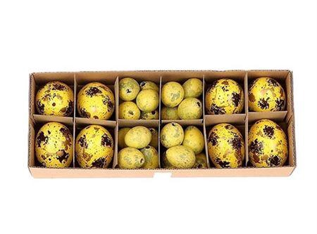 <h4>Egg Combi 8 Chicken 24 Quail L28w11h7</h4>