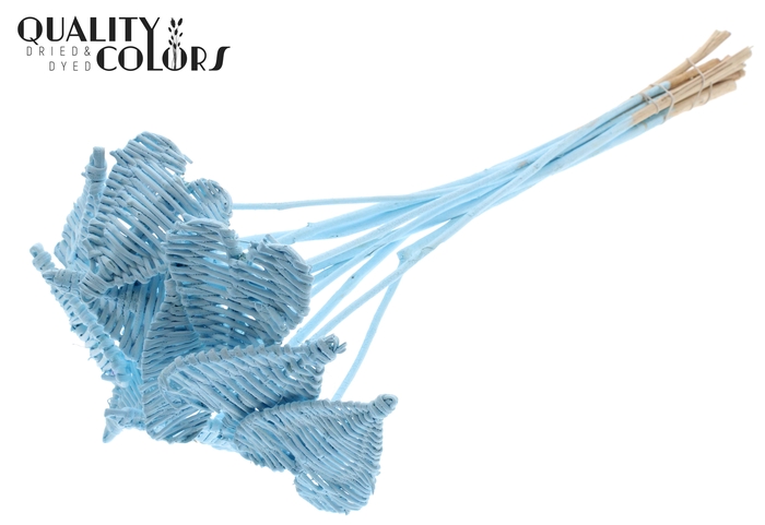 Lata Heart 8cm on stem Hat type Covered Light Blue