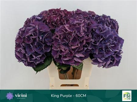 <h4>Hydr M Royal King</h4>