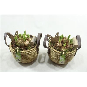 1312 LEREN BAND MAND