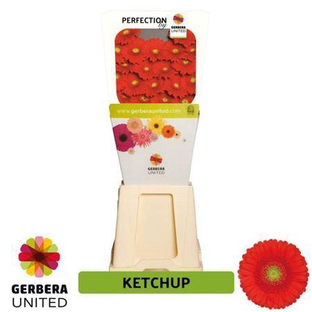 <h4>GE MI KETCHUP DIAMOND</h4>