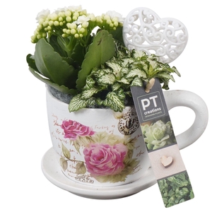 2265 MINI KOP/SCHOTEL IND.