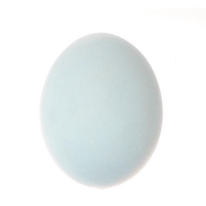 Sale Easter Egg Ostrich d11*16cm plastic