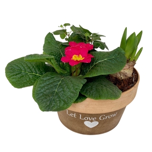 Love rond hout 1x prim 1x hys 1x hedr 539