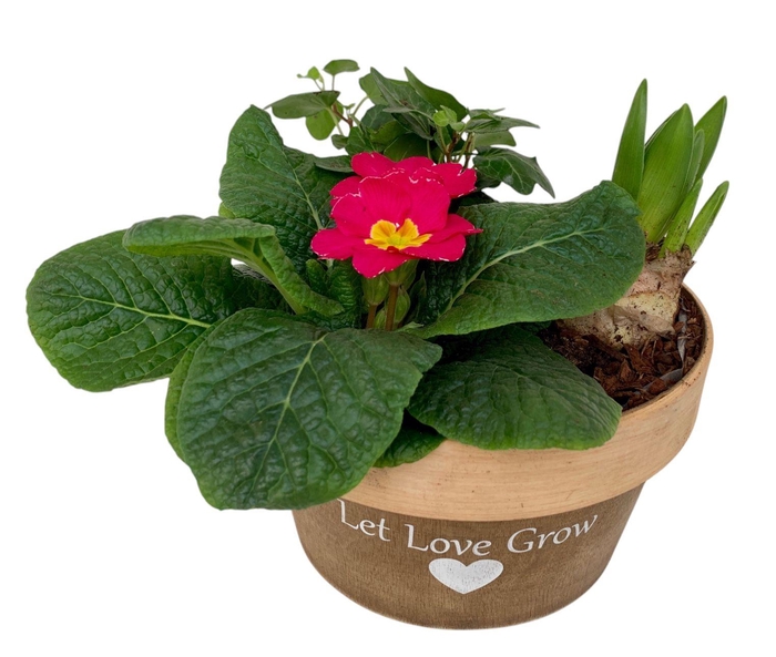 <h4>Love rond hout 1x prim 1x hys 1x hedr 539</h4>