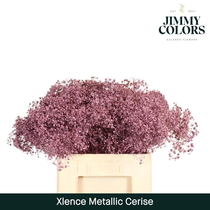 <h4>Gyps xlence L60 Mtlc. Cerise</h4>