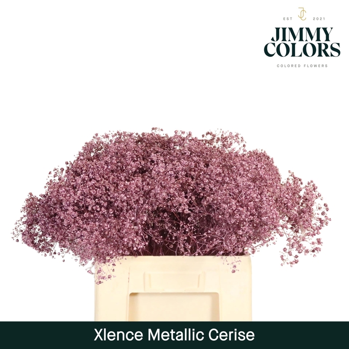<h4>Gyps xlence L60 Mtlc. Cerise</h4>