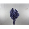 Dried Palm Spear 10pc Milka Bunch Slv