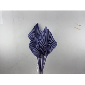 Dried Palm Spear 10pc Milka Bunch Slv