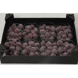 Appel (wax+gl) X8 Bordeaux